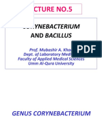 Corynebacterium and Bacillus
