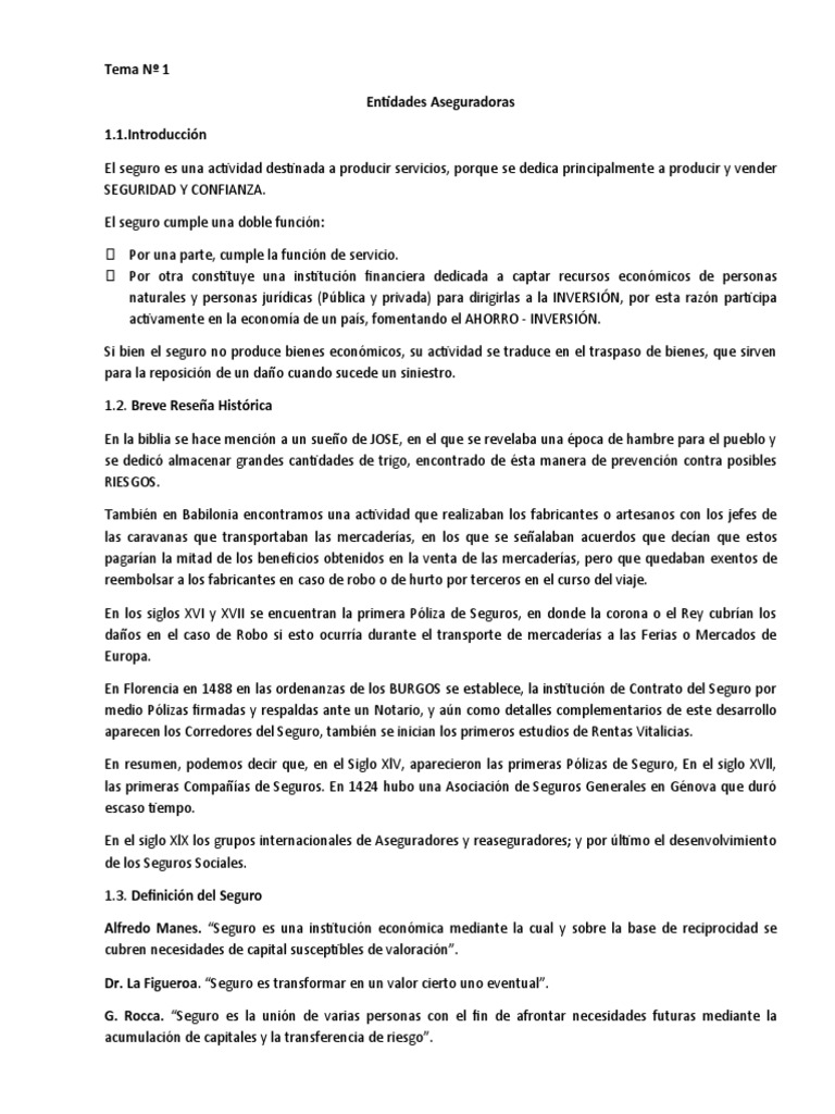 Entidades Aseguradoras y su Función Económica | PDF | Póliza de seguros ...