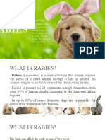 Rabies: Report By: The Bird Gens