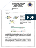 HLA y trasplantes