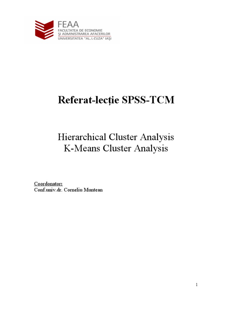 Spss Analiza Cluster | PDF