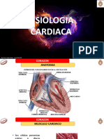 Fisiología cardíaca: Ciclo cardiaco, circulación sanguínea y regulación