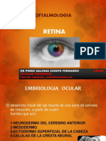 Retina PDF