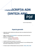 Curs 13 Biochimie - Acizi Nucleici 2 PDF