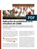 Aplicación de Probióticos en La Avicultura de Carne