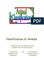 animalclassificationpowerpoint-170220081142