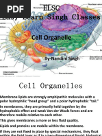 Elsc Easy Learn Singh Classes: Cell Organelle