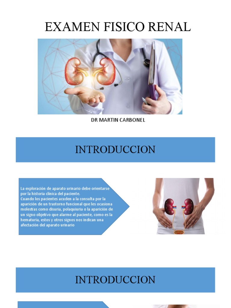 Examen Físico del Riñón y Urinario | PDF | Edema | Examen físico