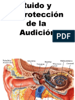 Charla de Ruido