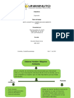 Mapa Conceptual