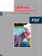 Dolphins Cun RVM