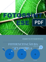 Fotossintese