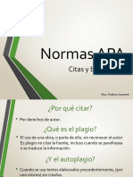 NORMAS APA 2.pdf