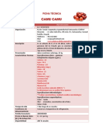 Fichas Tecnicas2 PDF