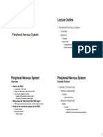 Lecture Outline: Peripheral Nervous System