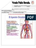 Ciencias 11 Junio.