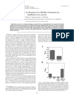 Caiazza, Toole - 2003.pdf