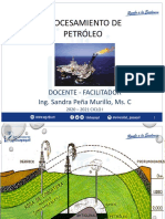 PETRÓLEO CLASES.pdf