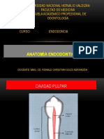 Anatomía Endodóntica of