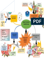 Mind Maping - Ida Syukrilla Rachmawati - J210180063 PDF