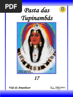 Manual da Falange Tupinambá.pdf