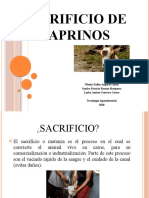 Sacrificio de Cabros