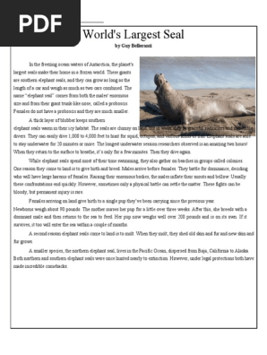 6th-elephant-seals-pdf-pdf-pinniped-fox
