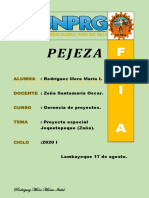 Pejeza PDF