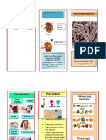 Leaflet Pielonefritis