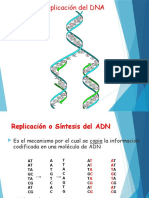 Replicacion -Reparacion DNA