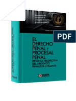 DERECHO PENAL Y PROCESAL- NAKASAKI.pdf