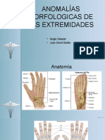 Anomalías Morfologicas de Las Extremidades