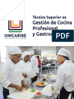 V20200811 Técnico Superior en Gestión de Cocina Profesional y Gastronomía PDF