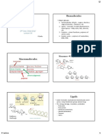 Chem 1: Biomolecules