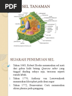 PERTEMUAN-6. ANATOMI (1)