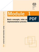 Basic Concepts, Roles and Implementation Process