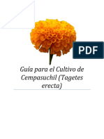 Guía para el Cultivo de Cempasuchil.pdf