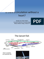 Is There A Circulation Without A Heart?
