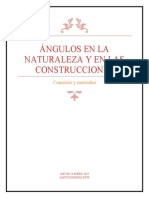 Angulos en La Naturaleza y en Las Construcciones