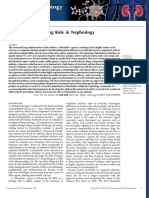 For The Clinician: Biosimilars-Emerging Role in Nephrology