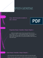 Herpes Genital