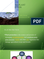 Basic To Plant Protection: Henik Sukorini Agrotechonology, Umm