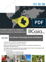 CTCN Caia Webinar Carbon Tax - Scaling Up From The National To The International Level
