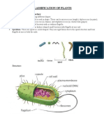 Classification of Plants: Bacterial Shape and Structure