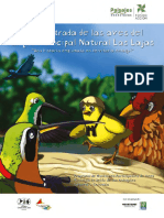 Guía ilustrada de aves del Parque Municipal Natural las Lajas, Belén de los Andaquíes (Caquetá -Colombia).