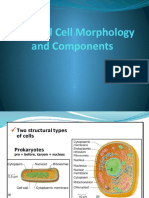 Bacterial Cell Morphology and Components