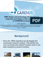 D01 - Carem TWG SMR 2019 PDF