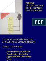 Dabadie-Cholestases Du Nourrisson
