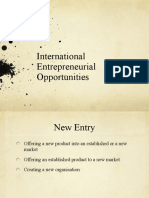International Entrepreneurial Opportunities