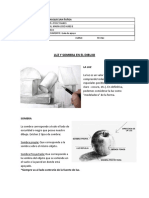 Guía 5° Dibujo - Luz y Sombra